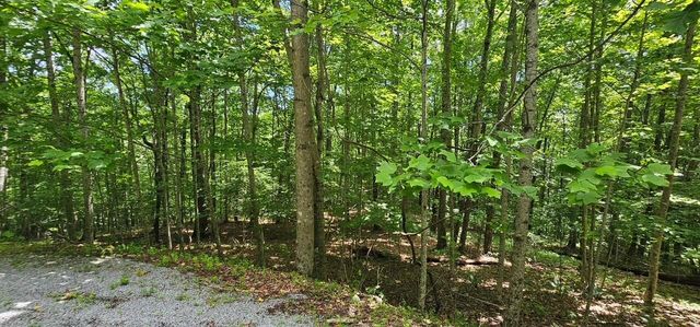 Lot 555 Oak Leaf Lane 555, Dunlap, TN 37327