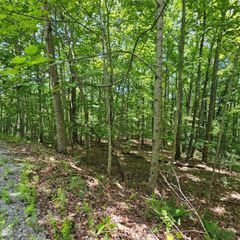 Lot 555 Oak Leaf Lane 555, Dunlap, TN 37327