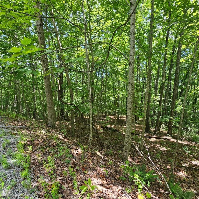Lot 555 Oak Leaf Lane 555, Dunlap, TN 37327