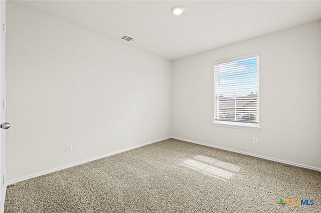 1596 Agave Cellar, New Braunfels, TX 78130