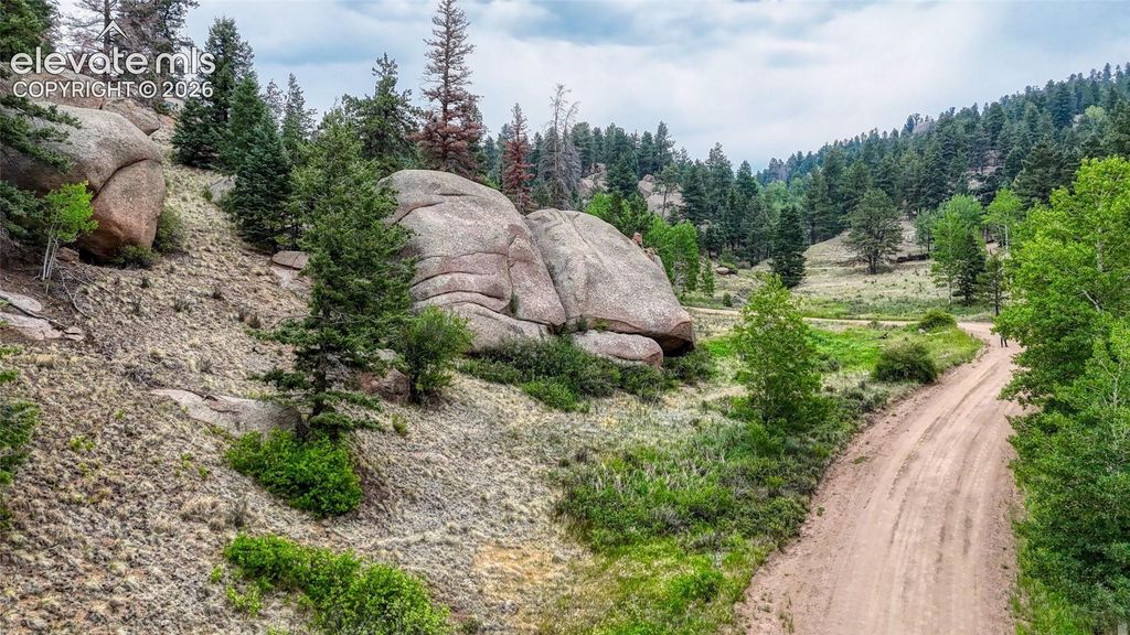 830 Pinon Lane, Florissant, CO 80816 — photo 5