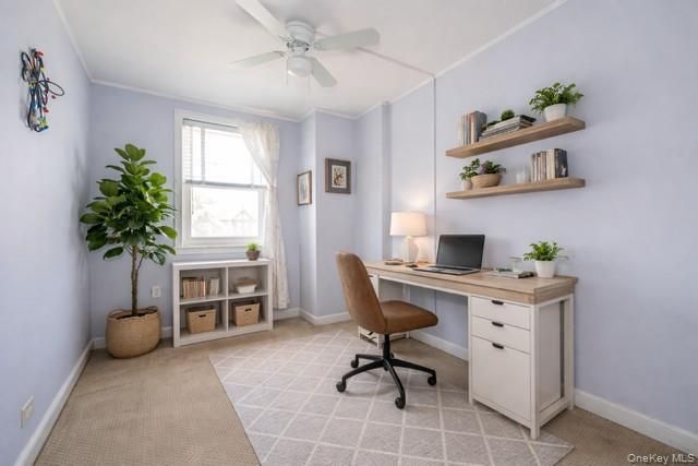 1776 Seminole Avenue, Bronx, NY 10461