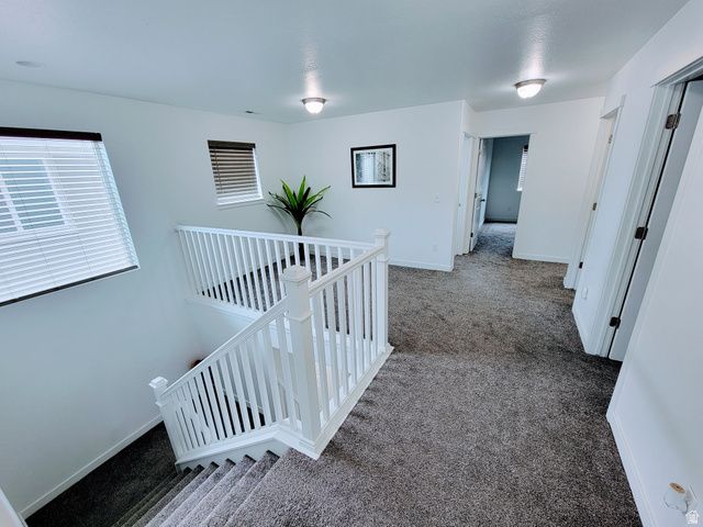 1049 W ALBION MEADOW WAY, Bluffdale, UT 84065