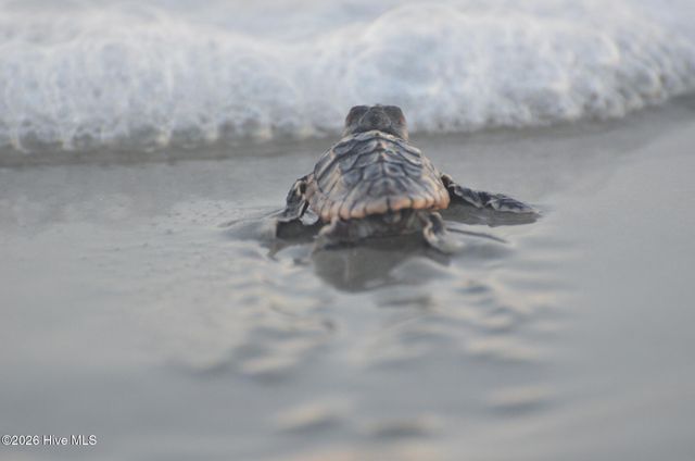 92 E Second Street, Ocean Isle Beach, NC 28469