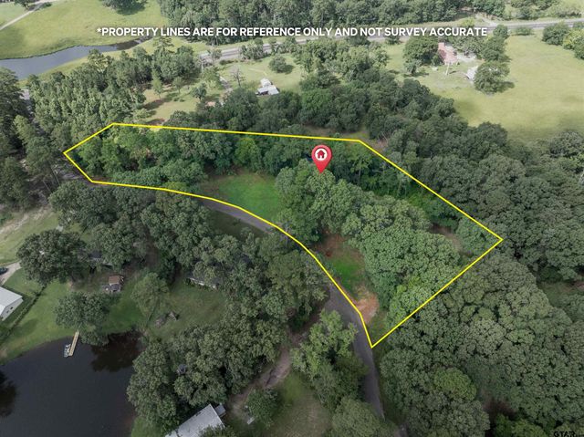 229 An County Road 385, Palestine, TX 75801