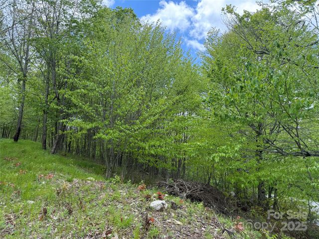 4 Fox Pointe Drive 4, Banner Elk, NC 28604