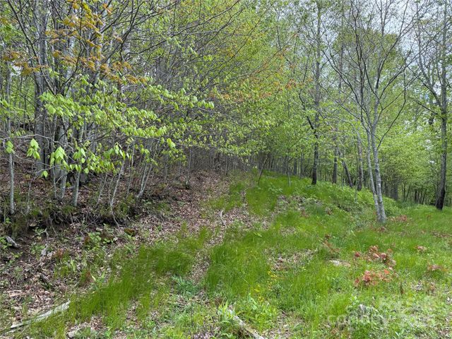 4 Fox Pointe Drive 4, Banner Elk, NC 28604