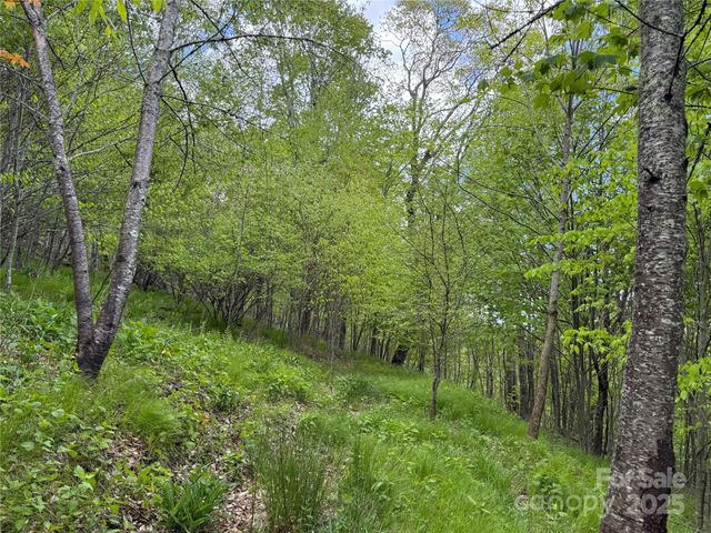 4 Fox Pointe Drive 4, Banner Elk, NC 28604