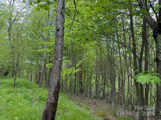4 Fox Pointe Drive 4, Banner Elk, NC 28604