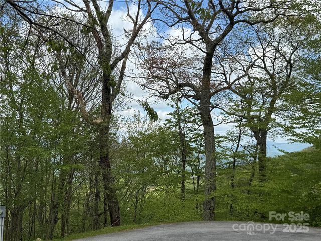 4 Fox Pointe Drive 4, Banner Elk, NC 28604