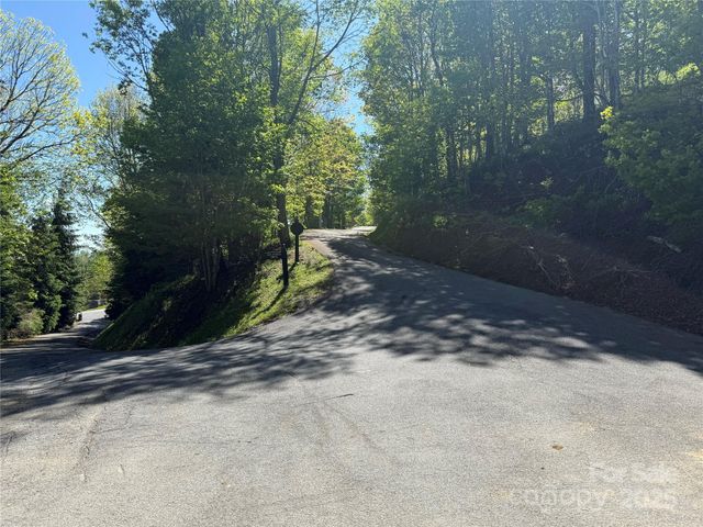 4 Fox Pointe Drive 4, Banner Elk, NC 28604