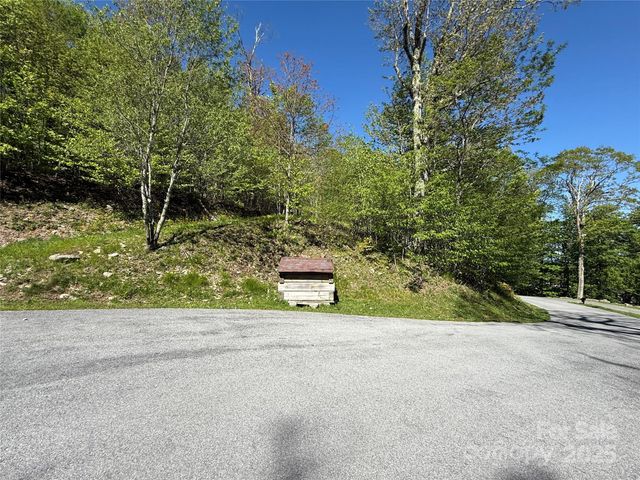 4 Fox Pointe Drive 4, Banner Elk, NC 28604