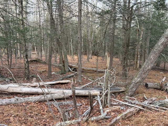 X Aldrich Road, Wurtsboro, NY 12790