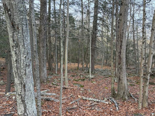 X Aldrich Road, Wurtsboro, NY 12790