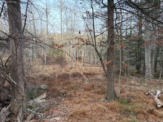 X Aldrich Road, Wurtsboro, NY 12790