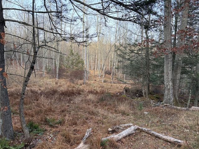 X Aldrich Road, Wurtsboro, NY 12790