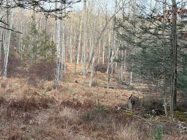 X Aldrich Road, Wurtsboro, NY 12790