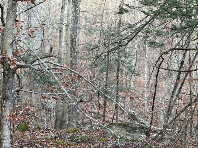 X Aldrich Road, Wurtsboro, NY 12790