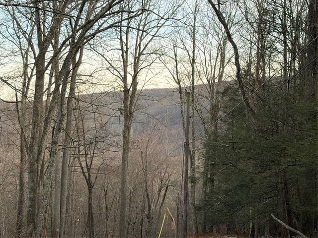 X Aldrich Road, Wurtsboro, NY 12790