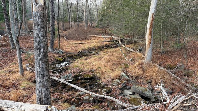 X Aldrich Road, Wurtsboro, NY 12790