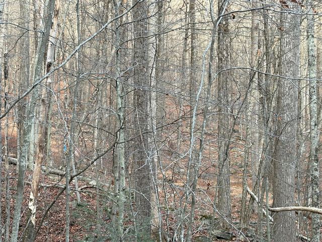 X Aldrich Road, Wurtsboro, NY 12790