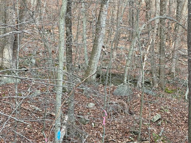 X Aldrich Road, Wurtsboro, NY 12790