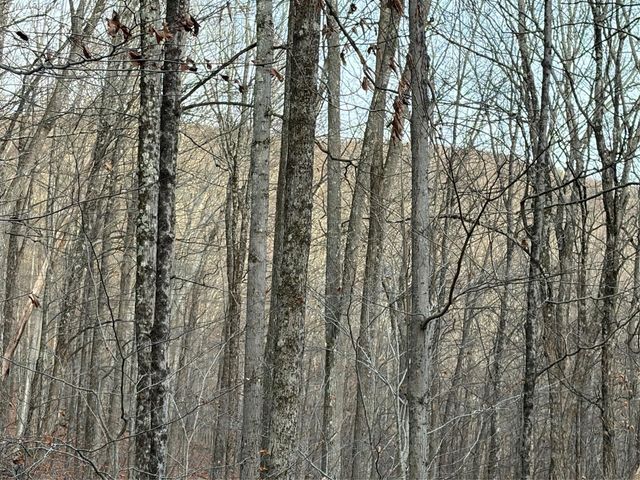 X Aldrich Road, Wurtsboro, NY 12790