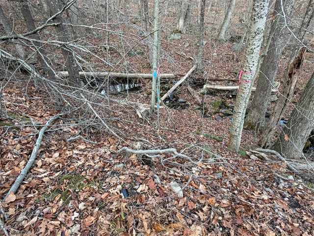 X Aldrich Road, Wurtsboro, NY 12790