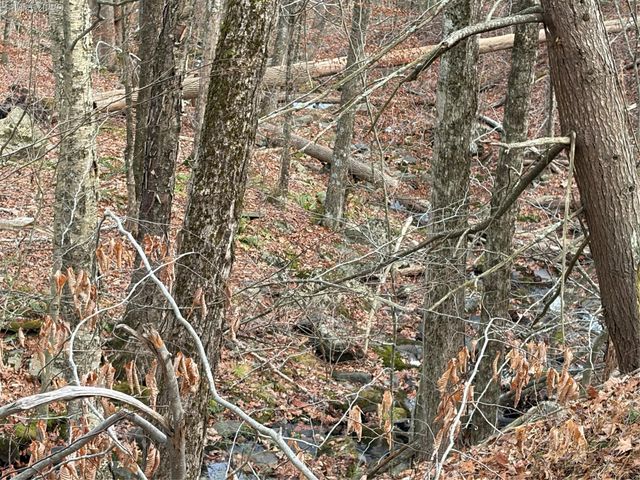 X Aldrich Road, Wurtsboro, NY 12790