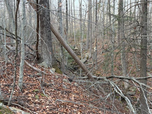 X Aldrich Road, Wurtsboro, NY 12790