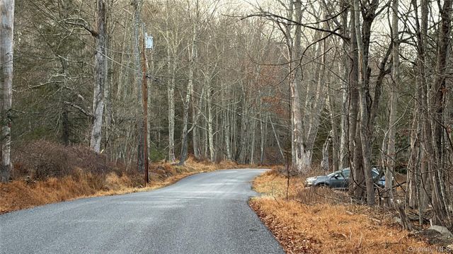 X Aldrich Road, Wurtsboro, NY 12790