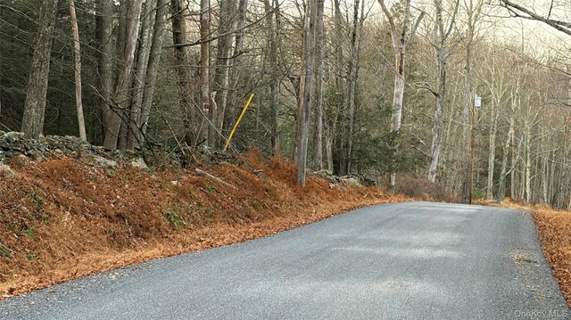 X Aldrich Road, Wurtsboro, NY 12790