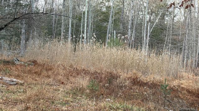 X Aldrich Road, Wurtsboro, NY 12790