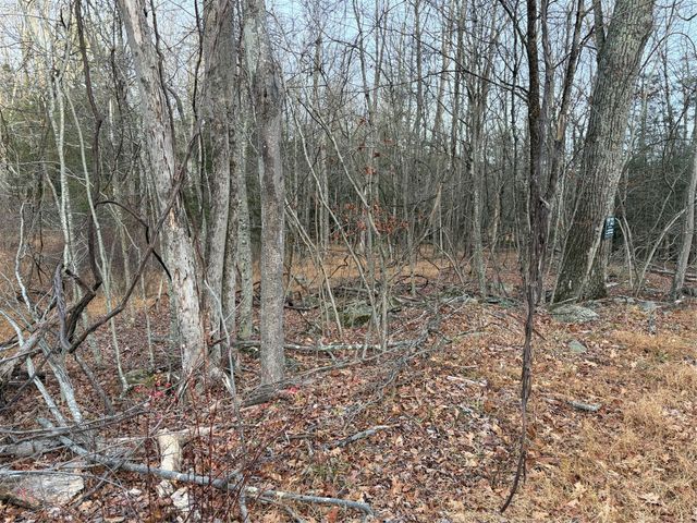 X Aldrich Road, Wurtsboro, NY 12790