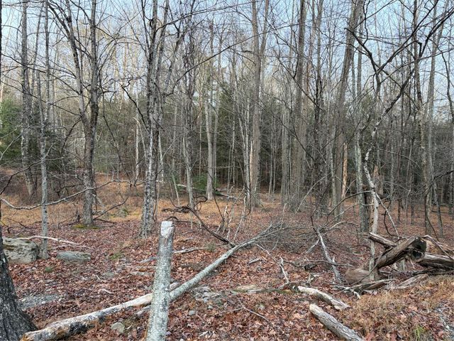 X Aldrich Road, Wurtsboro, NY 12790