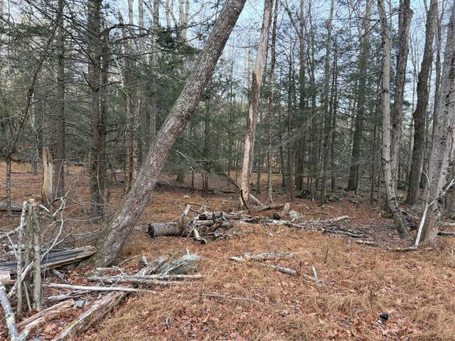 X Aldrich Road, Wurtsboro, NY 12790