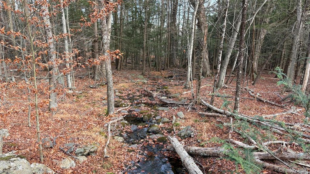 X Aldrich Road, Wurtsboro, NY 12790