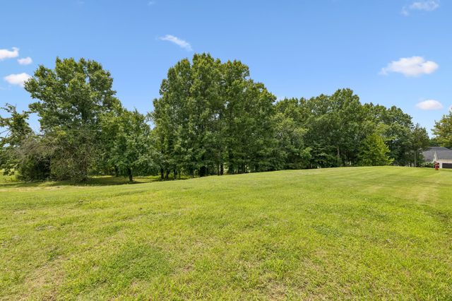 7505 Whiskey Rd, College Grove, TN 37046
