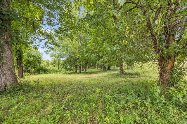 7505 Whiskey Rd, College Grove, TN 37046