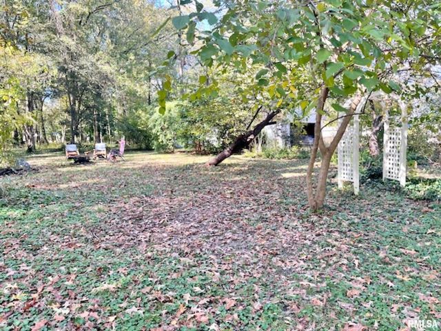 1603 CATHERINE Street, Metropolis, IL 62960