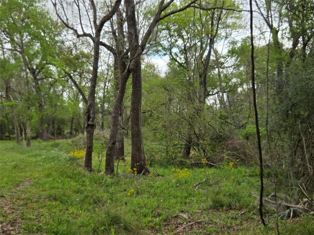0 Kings Oak Drive, Damon, TX 77430