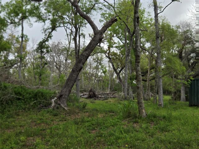 0 Kings Oak Drive, Damon, TX 77430