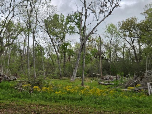 0 Kings Oak Drive, Damon, TX 77430