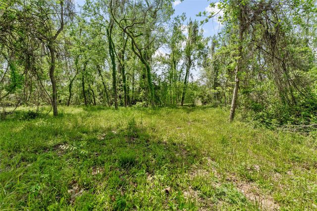 0 Kings Oak Drive, Damon, TX 77430