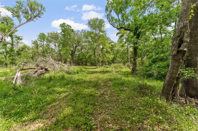 0 Kings Oak Drive, Damon, TX 77430