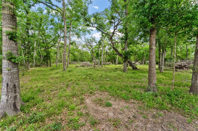 0 Kings Oak Drive, Damon, TX 77430