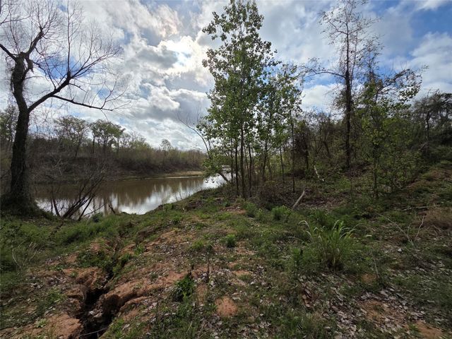 0 Kings Oak Drive, Damon, TX 77430