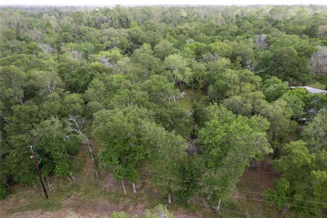 0 Kings Oak Drive, Damon, TX 77430