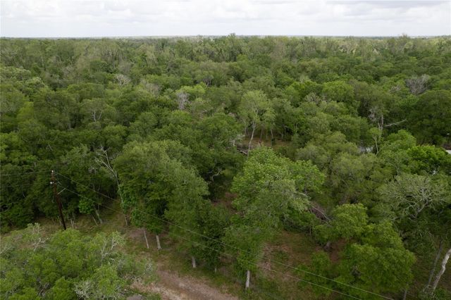 0 Kings Oak Drive, Damon, TX 77430