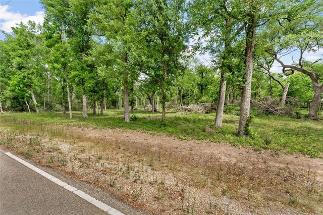 0 Kings Oak Drive, Damon, TX 77430